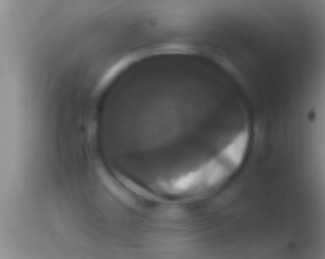 X0000113951450200910161928
