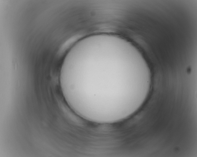 X0000113951451200910161928