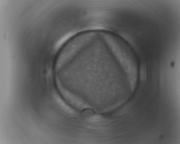 X0000113951452200910161927