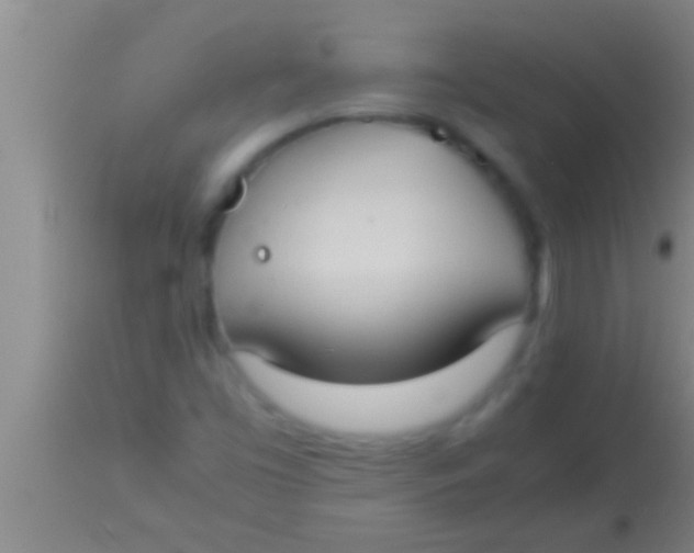 X0000113951453200910161927