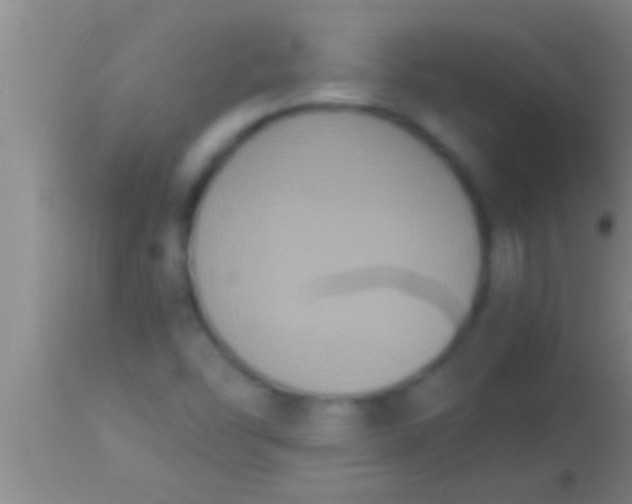 X0000113951454200910161927
