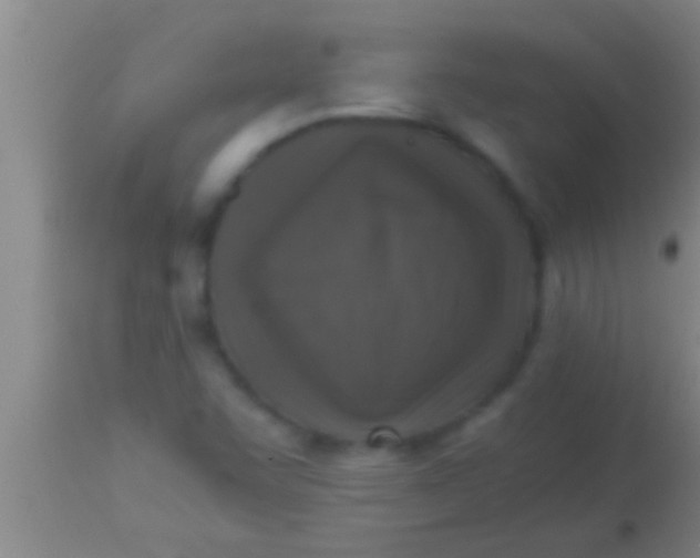 X0000113951455200910161927