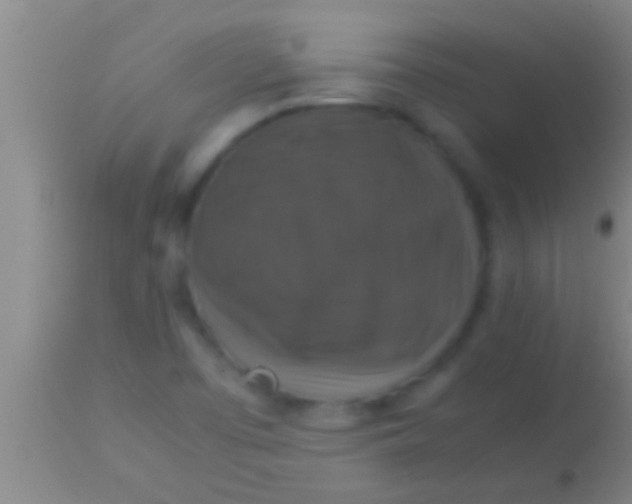 X0000113951457200910161927