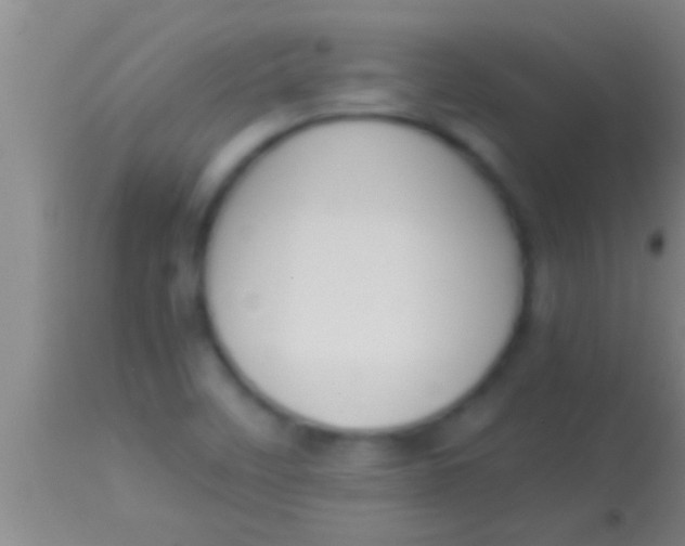 X0000113951458200910161927