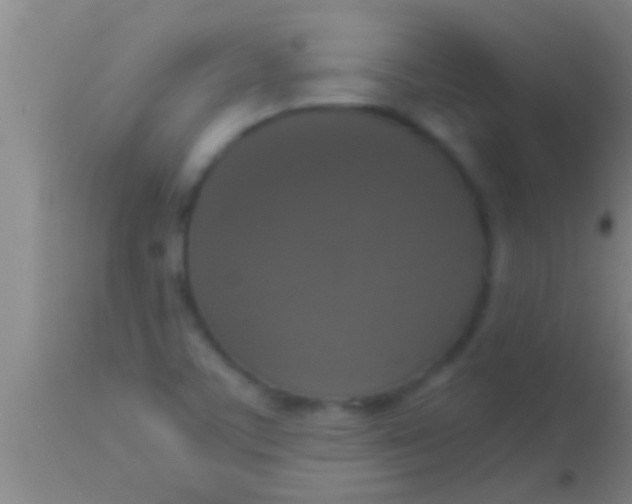 X0000113951459200910161927