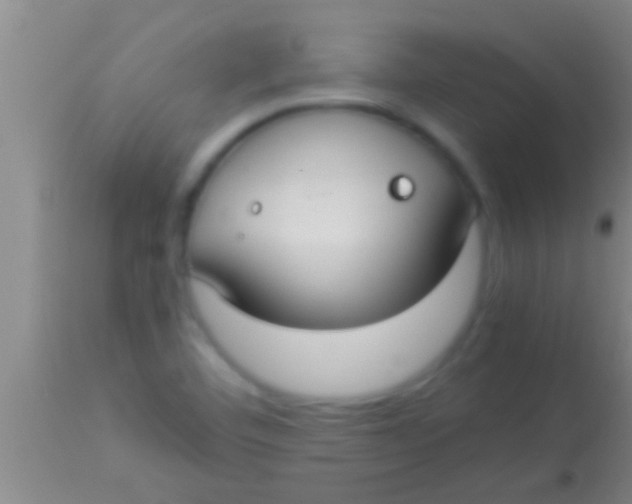 X0000113951460200910161927