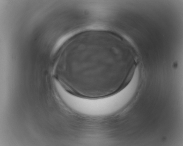 X0000113951461200910161927
