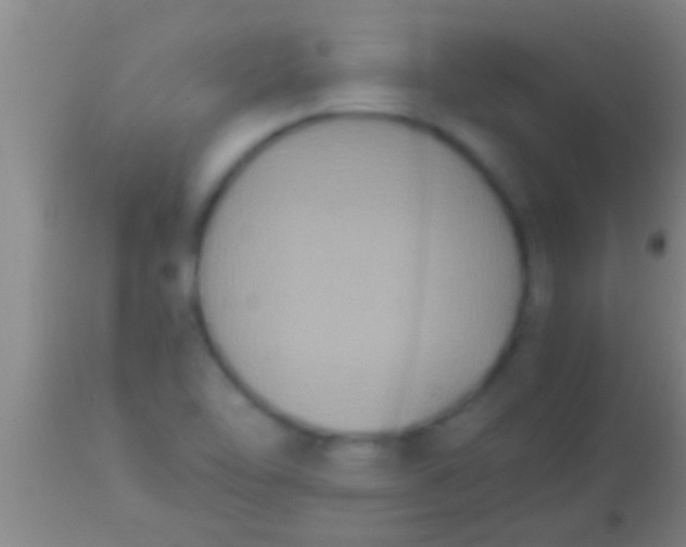 X0000113951462200910161927
