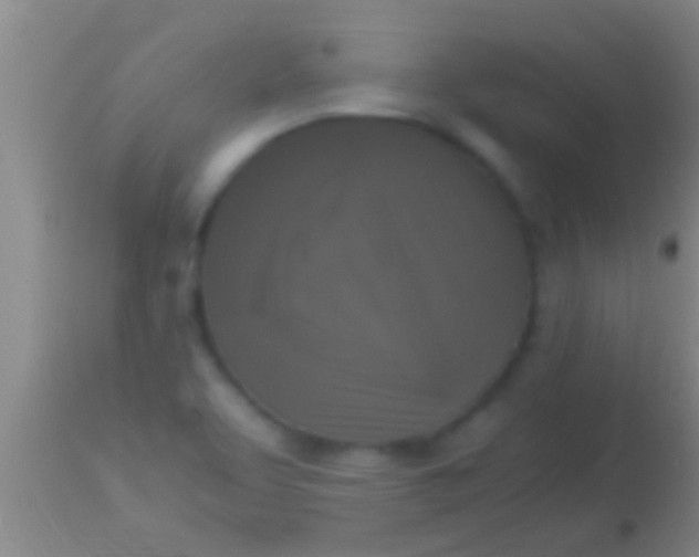X0000113951463200910161927