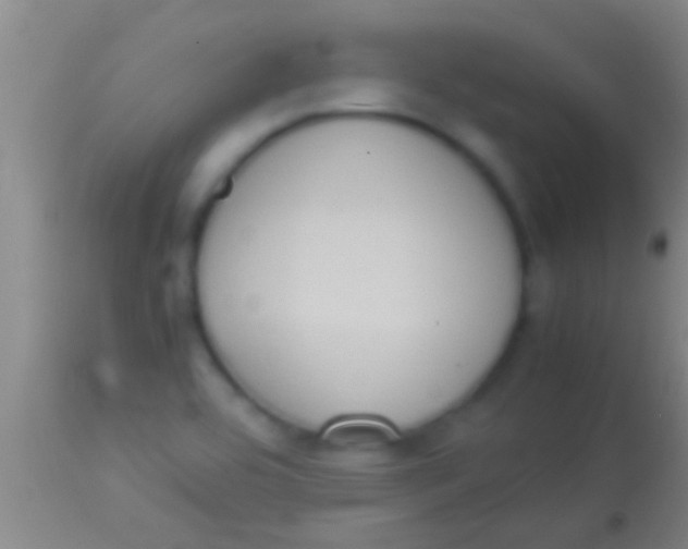X0000113951464200910161927
