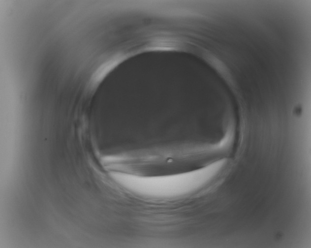 X0000113951465200910161927