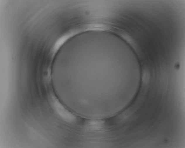 X0000113951466200910161927