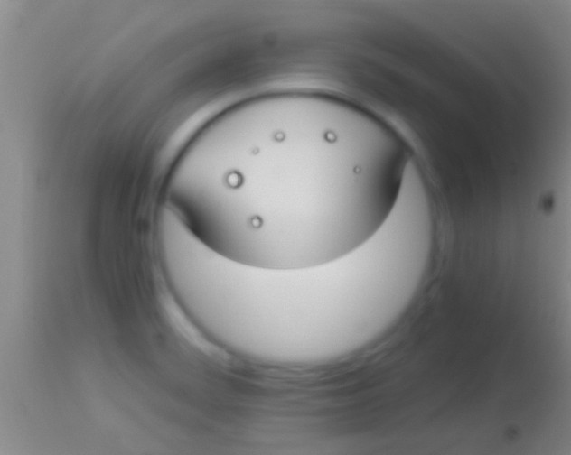 X0000113951468200910161927