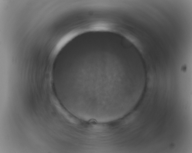 X0000113951469200910161927