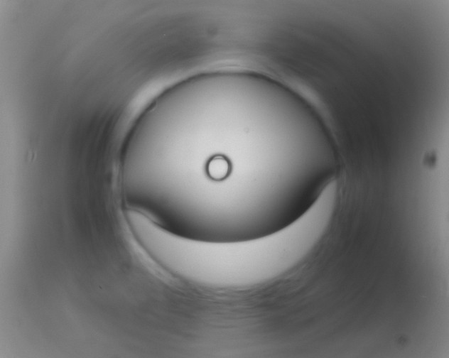 X0000113951472200910161927