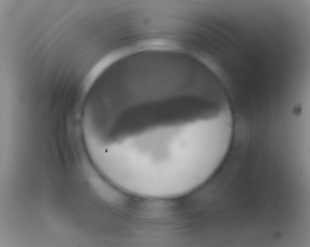 X0000113951474200910161927