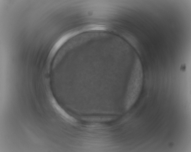 X0000113951475200910161927