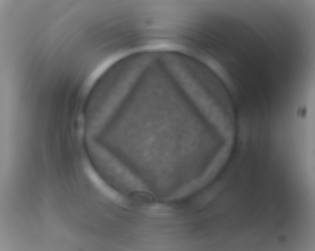 X0000113951476200910161927