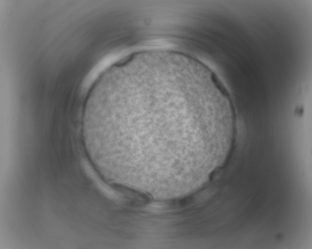 X0000113951477200910161927