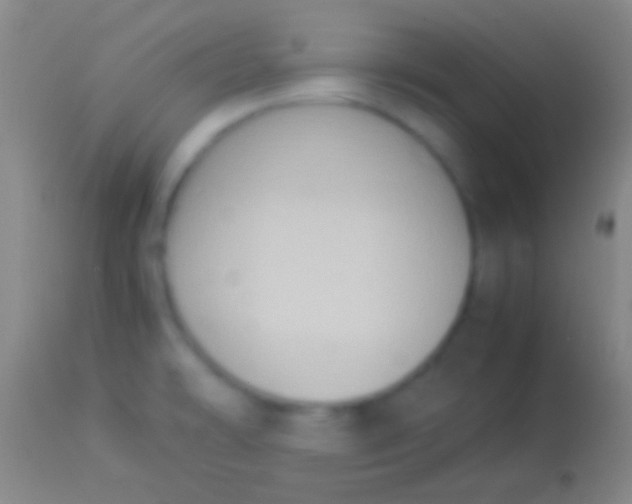 X0000113951478200910161927