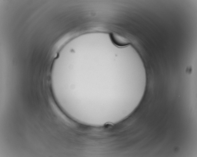 X0000113951479200910161927
