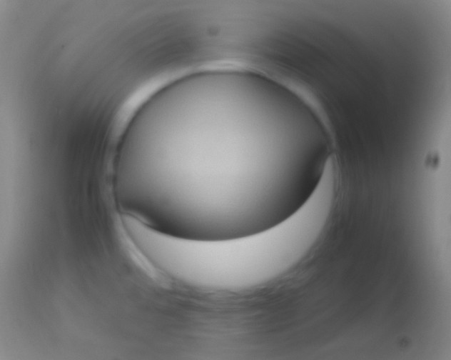 X0000113951480200910161927