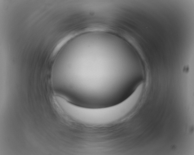 X0000113951481200910161927
