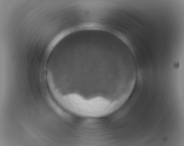 X0000113951482200910161927