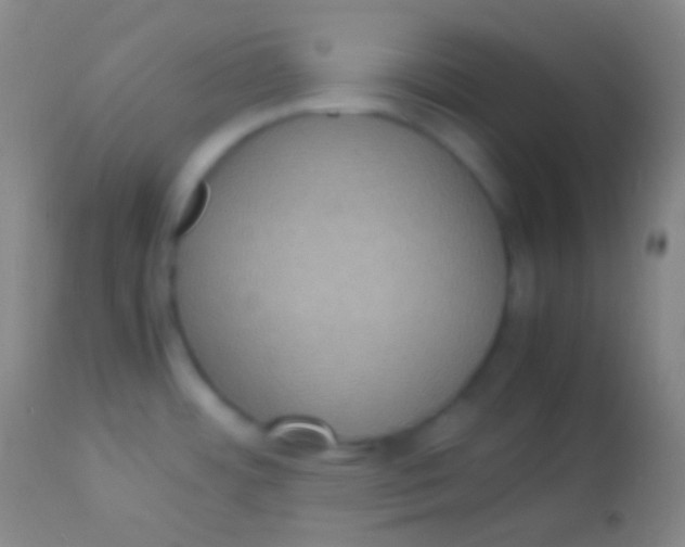 X0000113951484200910161927