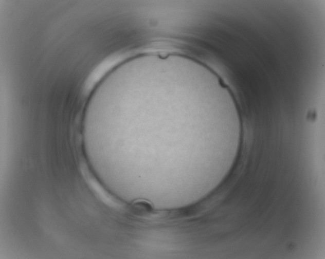 X0000113951485200910161927
