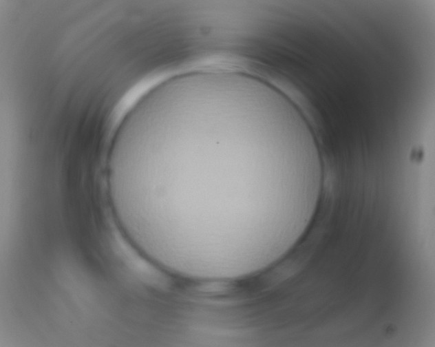 X0000113951486200910161927