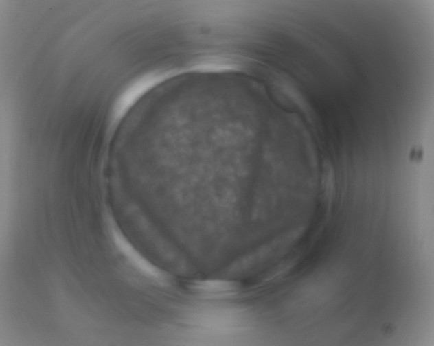 X0000113951487200910161927