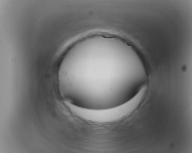 X0000113951496200910161926