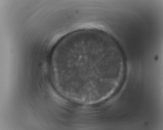 X0000113951497200910161926