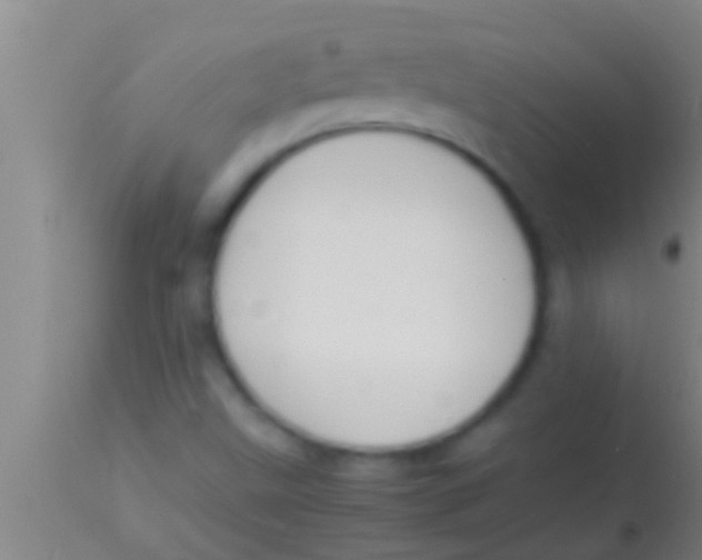 X0000113951499200910161926