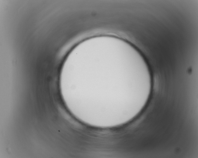 X0000113951502200910161926