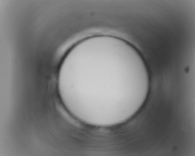 X0000113951503200910161926