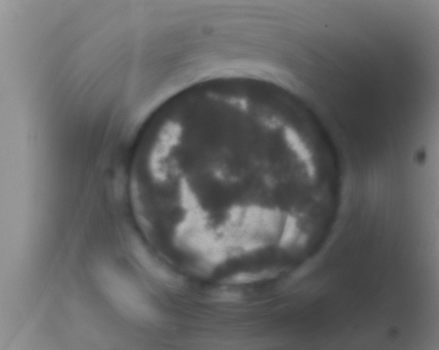 X0000113951505200910161926
