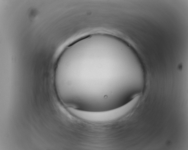 X0000113951508200910161927