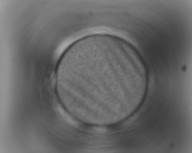 X0000113951509200910161927