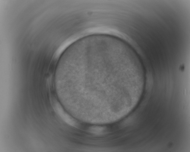 X0000113951513200910161927