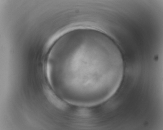 X0000113951514200910161927
