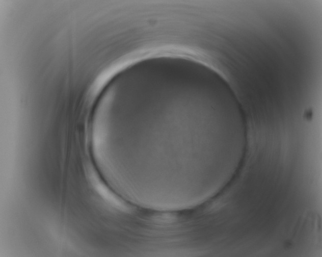 X0000113951515200910161927
