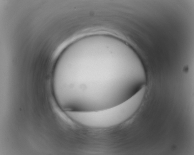X0000113951518200910161927