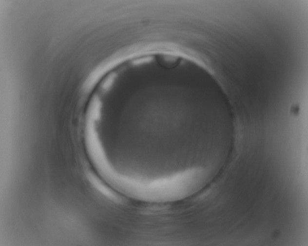 X0000113951519200910161927
