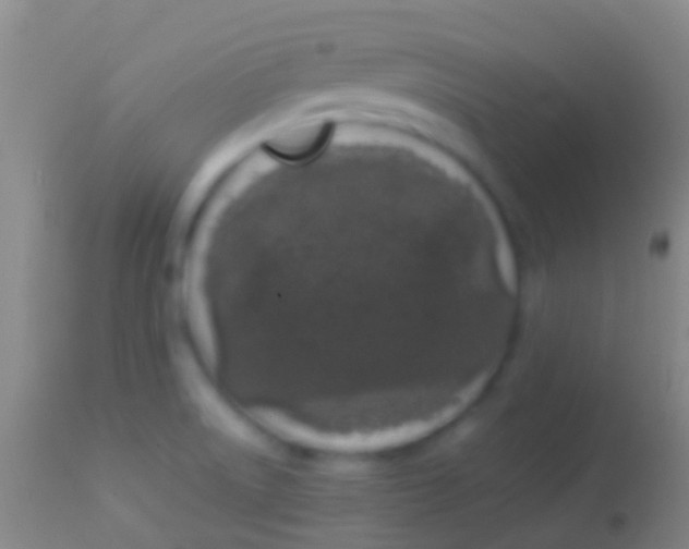X0000113951522200910161927