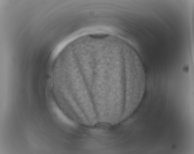 X0000113951524200910161927