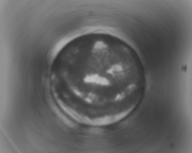 X0000113951525200910161927
