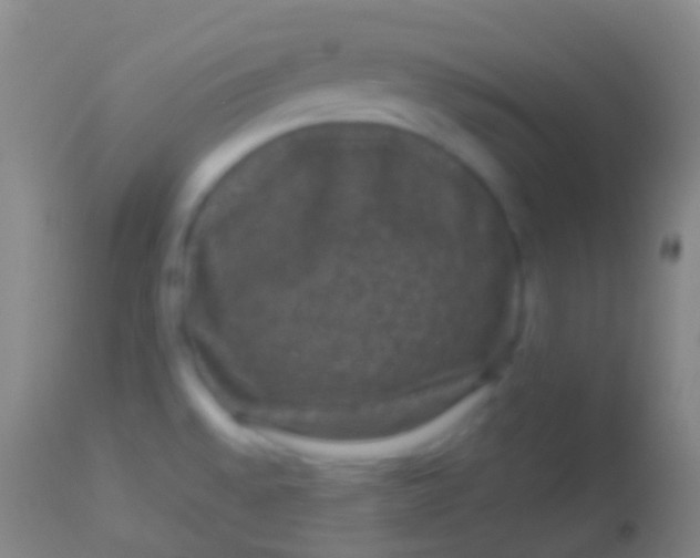 X0000113951528200910161927