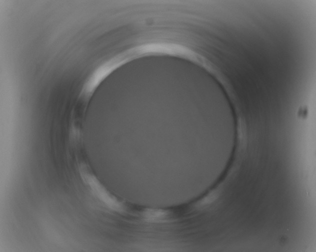 X0000113951529200910161927